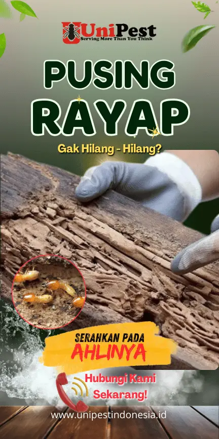 Jasa anti rayap profesional untuk melindungi rumah dari kerusakan akibat rayap