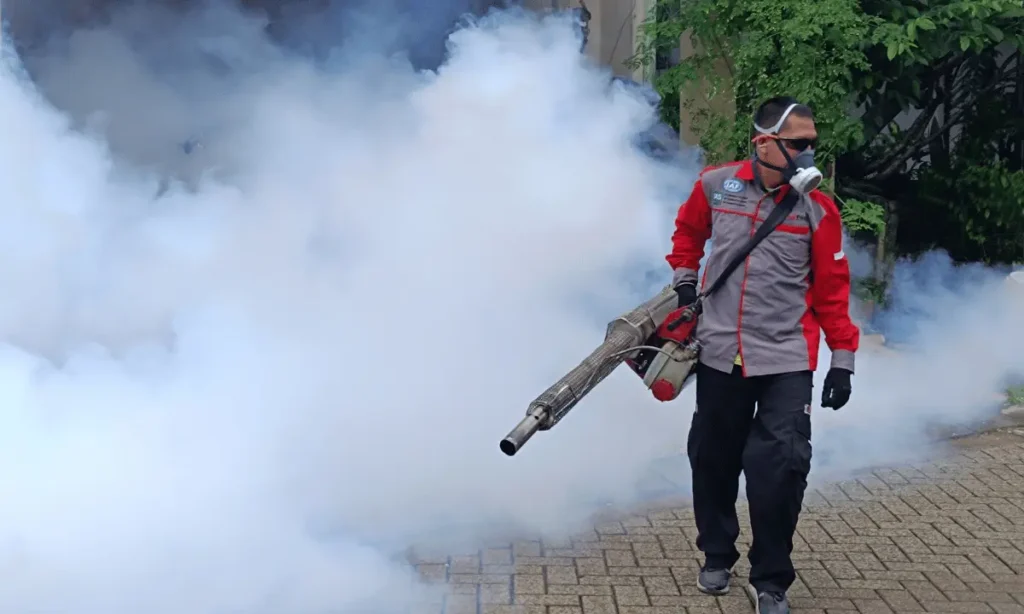 Layanan Fogging untuk Pembasmi Nyamuk dan Serangga